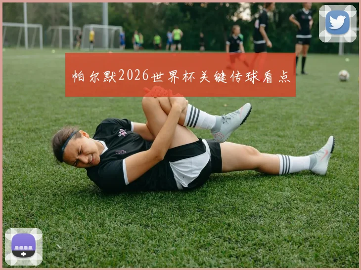 帕尔默2026世界杯关键传球看点