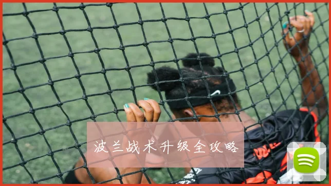 波兰战术升级全攻略
