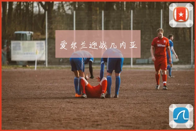 爱尔兰迎战几内亚