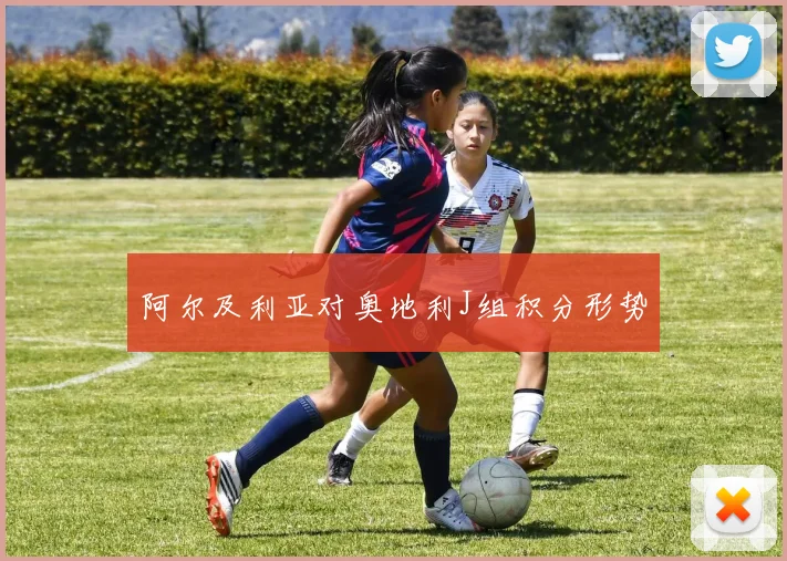 阿尔及利亚对奥地利J组积分形势
