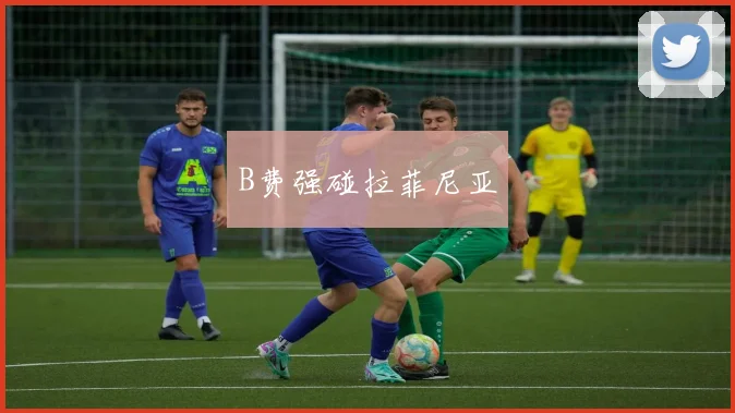 B费强碰拉菲尼亚