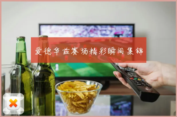 爱德华兹赛场精彩瞬间集锦