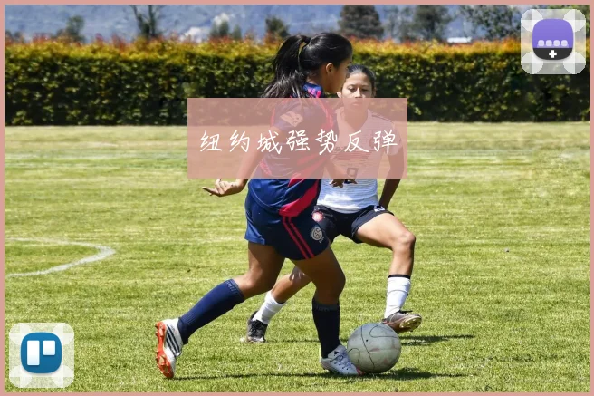 纽约城强势反弹