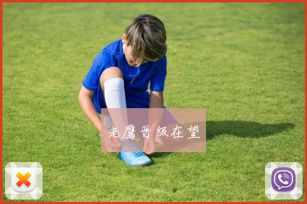 老鹰晋级在望
