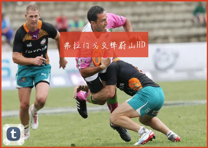 弗拉门戈交锋蔚山HD