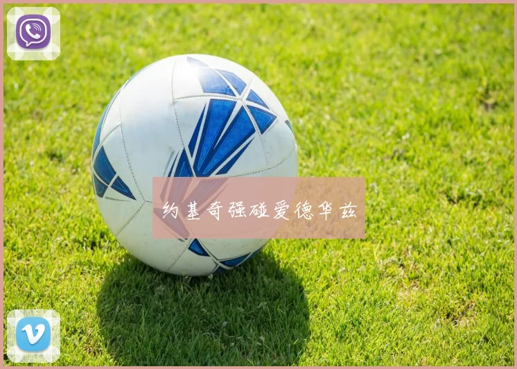 约基奇强碰爱德华兹