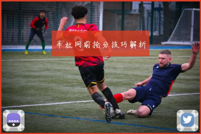 辛杜网前抢分技巧解析