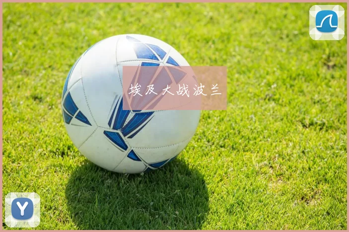 埃及大战波兰