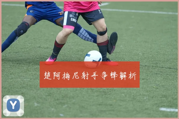 楚阿梅尼射手争锋解析