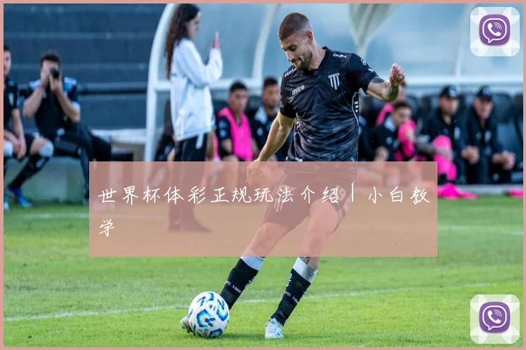 世界杯体彩正规玩法介绍｜小白教学