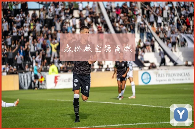 森林狼全场高燃