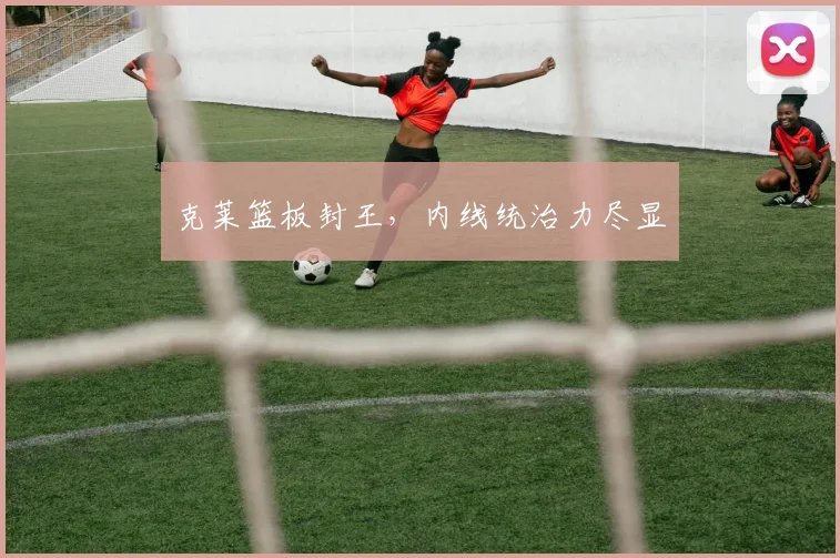 克莱篮板封王，内线统治力尽显