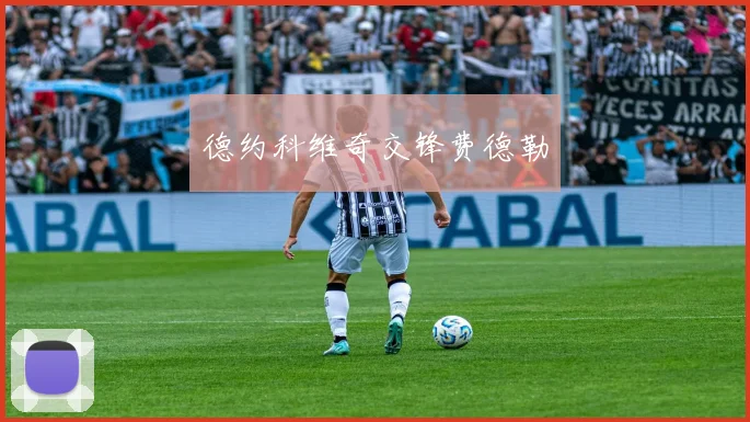 德约科维奇交锋费德勒