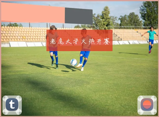 老虎大学火热开赛
