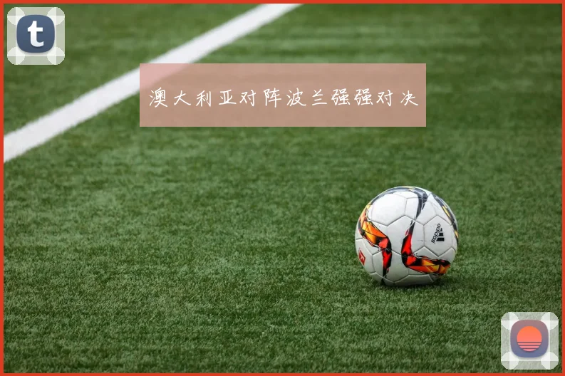 澳大利亚对阵波兰强强对决