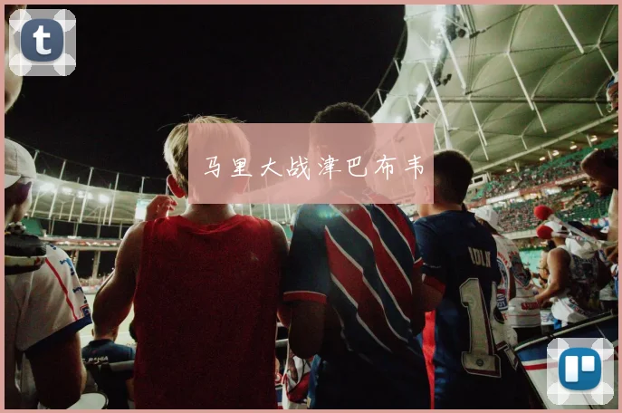 马里大战津巴布韦