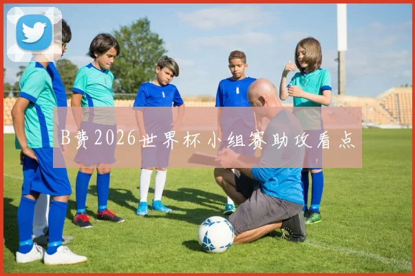 B费2026世界杯小组赛助攻看点