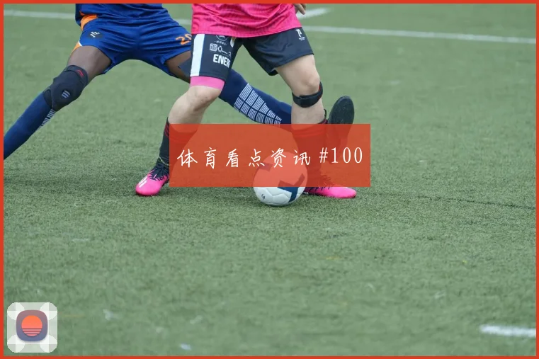 澳大利亚vs土耳其小组赛控球走势