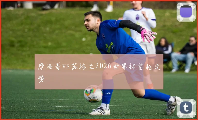 摩洛哥vs苏格兰2026世界杯首轮走势