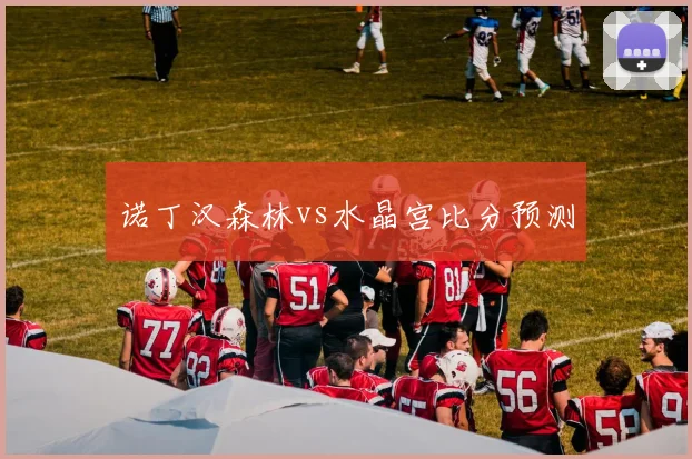 诺丁汉森林vs水晶宫比分预测