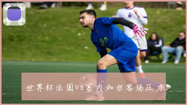 世界杯法国vs塞内加尔客场压力