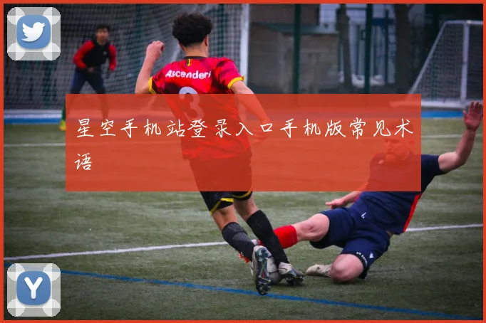 星空手机站登录入口手机版常见术语