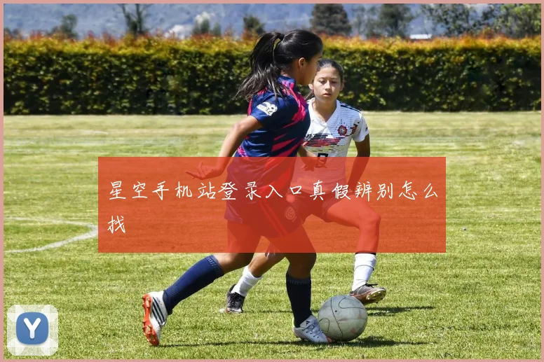 星空手机站登录入口真假辨别怎么找