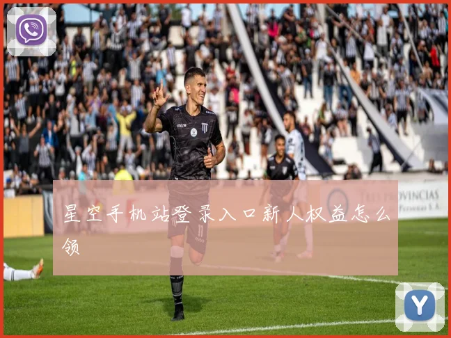 星空手机站登录入口新人权益怎么领