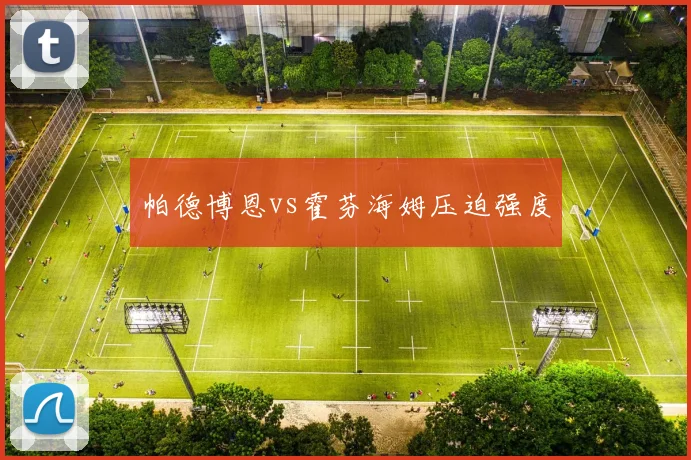 帕德博恩vs霍芬海姆压迫强度